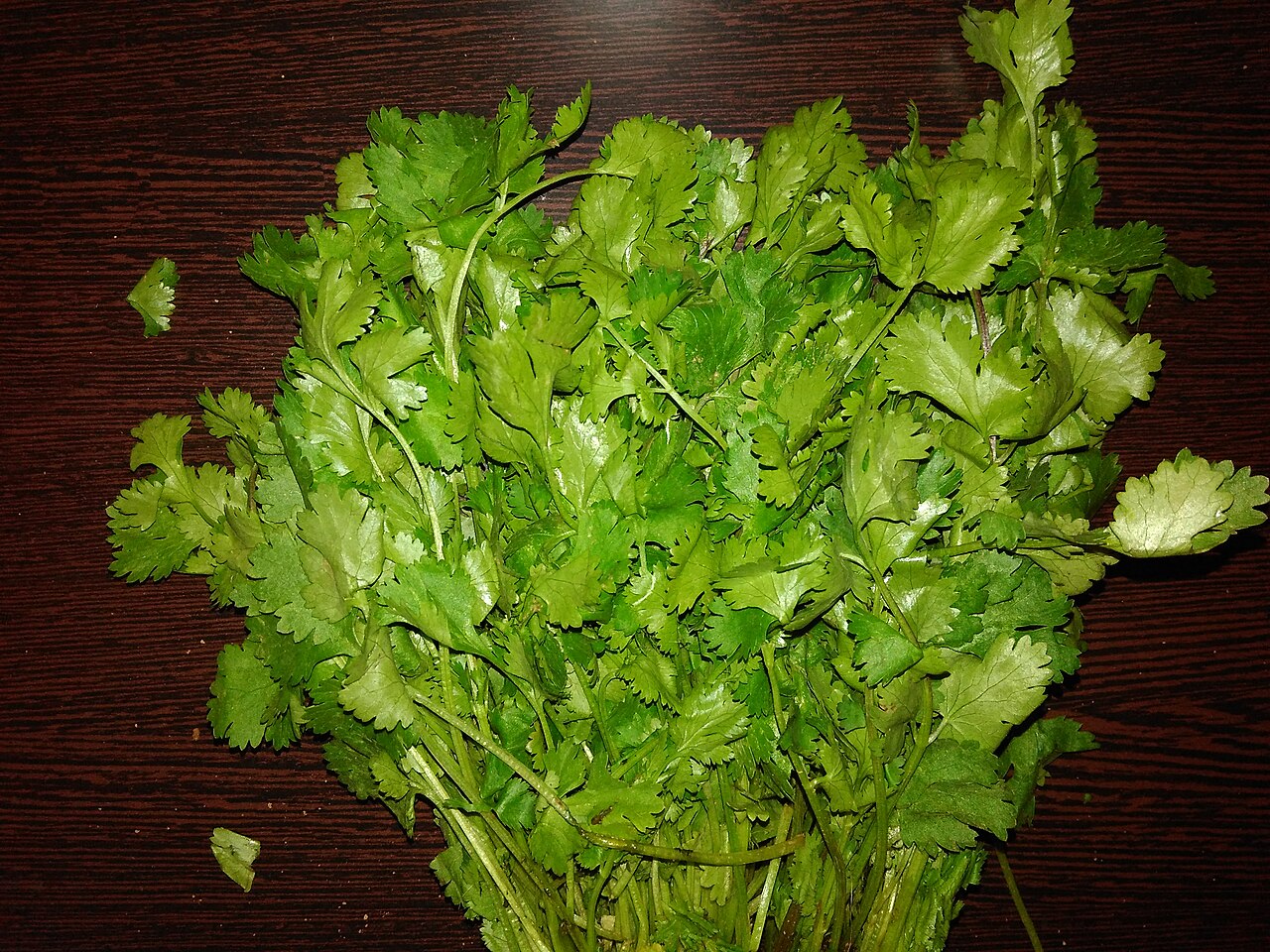 Fresh Farms Fresh Herbs Cilantro 2-Pack